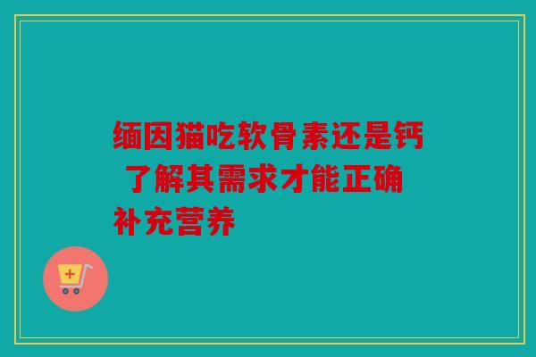 缅因猫吃软骨素还是钙 了解其需求才能正确补充营养