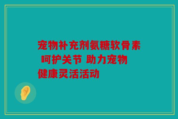 宠物补充剂氨糖软骨素 呵护关节 助力宠物健康灵活活动