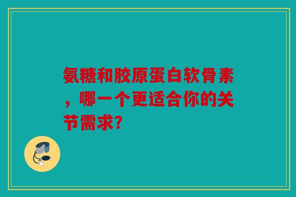 氨糖和胶原蛋白软骨素，哪一个更适合你的关节需求？