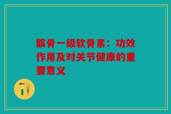 髌骨一级软骨素：功效作用及对关节健康的重要意义