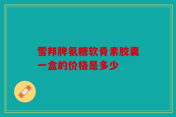 雪邦牌氨糖软骨素胶囊一盒的价格是多少