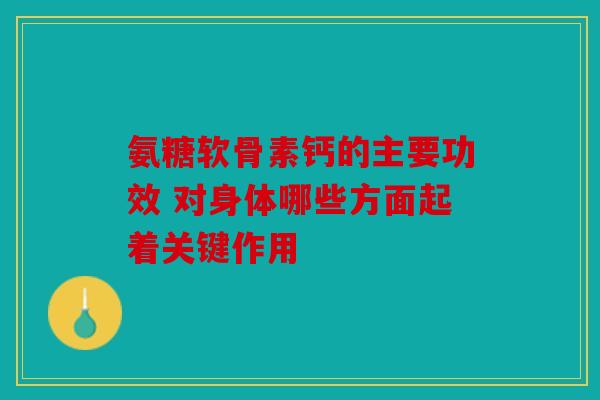 氨糖软骨素钙的主要功效 对身体哪些方面起着关键作用