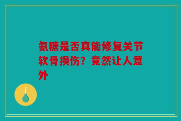 氨糖是否真能修复关节软骨损伤？竟然让人意外