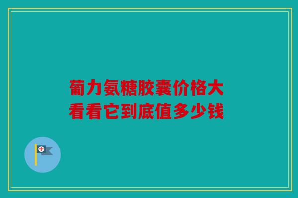 葡力氨糖胶囊价格大 看看它到底值多少钱