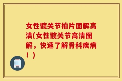 女性髋关节拍片图解高清(女性髋关节高清图解，快速了解骨科疾病！)