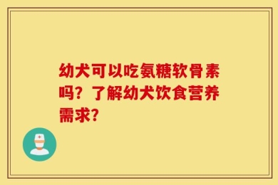 幼犬可以吃氨糖软骨素吗？了解幼犬饮食营养需求？