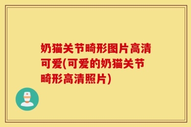 奶猫关节畸形图片高清可爱(可爱的奶猫关节畸形高清照片)