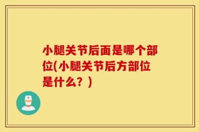 小腿关节后面是哪个部位(小腿关节后方部位是什么？)