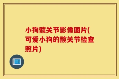 小狗髋关节影像图片(可爱小狗的髋关节检查照片)