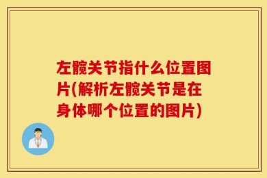 左髋关节指什么位置图片(解析左髋关节是在身体哪个位置的图片)
