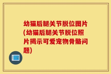 幼猫后腿关节脱位图片(幼猫后腿关节脱位照片揭示可爱宠物骨骼问题)