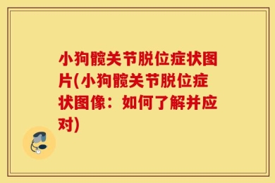 小狗髋关节脱位症状图片(小狗髋关节脱位症状图像：如何了解并应对)