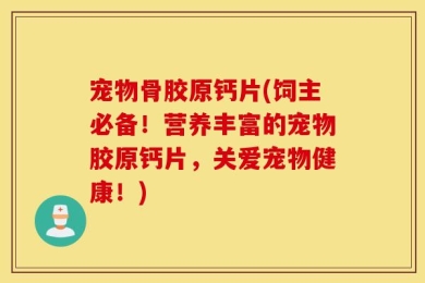 宠物骨胶原钙片(饲主必备！营养丰富的宠物胶原钙片，关爱宠物健康！)