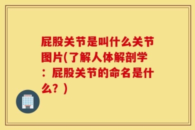 屁股关节是叫什么关节图片(了解人体解剖学：屁股关节的命名是什么？)