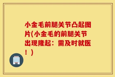 小金毛前腿关节凸起图片(小金毛的前腿关节出现隆起：需及时就医！)