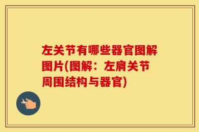 左关节有哪些器官图解图片(图解：左肩关节周围结构与器官)