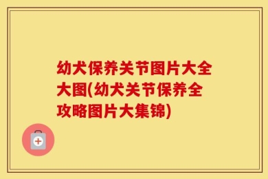 幼犬保养关节图片大全大图(幼犬关节保养全攻略图片大集锦)