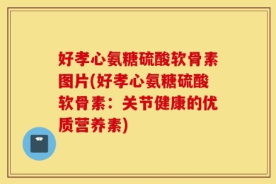 好孝心氨糖硫酸软骨素图片(好孝心氨糖硫酸软骨素：关节健康的优质营养素)