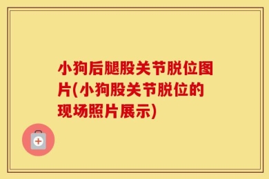 小狗后腿股关节脱位图片(小狗股关节脱位的现场照片展示)