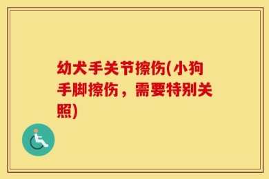 幼犬手关节擦伤(小狗手脚擦伤，需要特别关照)