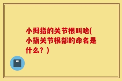 小拇指的关节根叫啥(小指关节根部的命名是什么？)