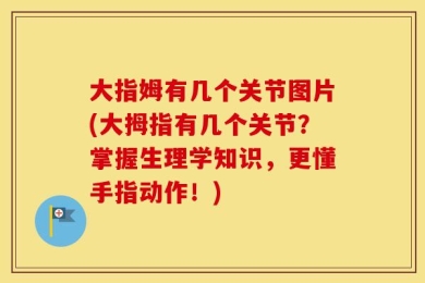 大指姆有几个关节图片(大拇指有几个关节？掌握生理学知识，更懂手指动作！)