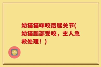 幼猫猫咪咬后腿关节(幼猫腿部受咬，主人急救处理！)