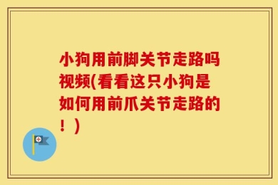小狗用前脚关节走路吗视频(看看这只小狗是如何用前爪关节走路的！)