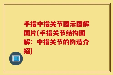 手指中指关节图示图解图片(手指关节结构图解：中指关节的构造介绍)