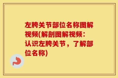 左胯关节部位名称图解视频(解剖图解视频：认识左胯关节，了解部位名称)