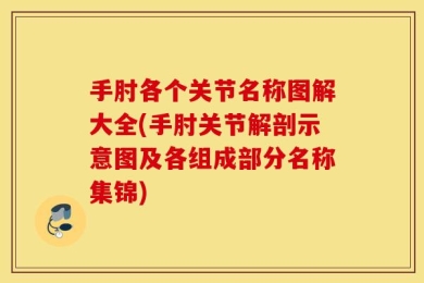 手肘各个关节名称图解大全(手肘关节解剖示意图及各组成部分名称集锦)