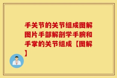 手关节的关节组成图解图片手部解剖学手腕和手掌的关节组成【图解】