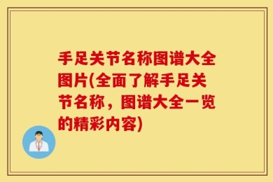 手足关节名称图谱大全图片(全面了解手足关节名称，图谱大全一览的精彩内容)