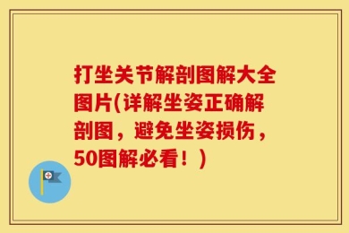 打坐关节解剖图解大全图片(详解坐姿正确解剖图，避免坐姿损伤，50图解必看！)