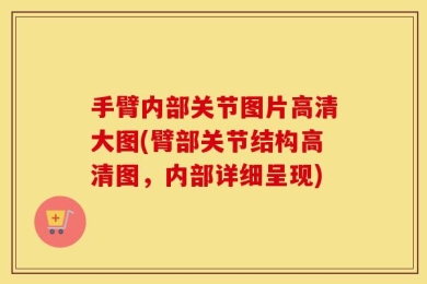 手臂内部关节图片高清大图(臂部关节结构高清图，内部详细呈现)