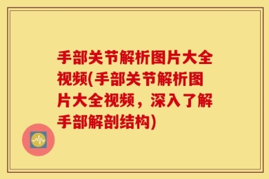 手部关节解析图片大全视频(手部关节解析图片大全视频，深入了解手部解剖结构)