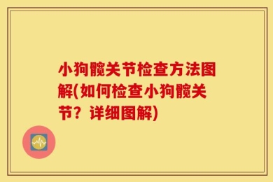 小狗髋关节检查方法图解(如何检查小狗髋关节？详细图解)