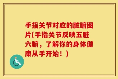 手指关节对应的脏腑图片(手指关节反映五脏六腑，了解你的身体健康从手开始！)