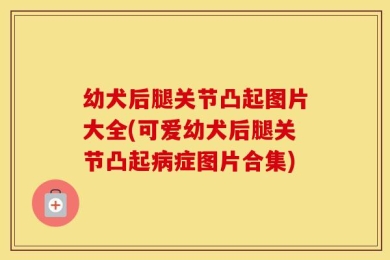 幼犬后腿关节凸起图片大全(可爱幼犬后腿关节凸起病症图片合集)