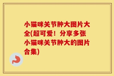 小猫咪关节肿大图片大全(超可爱！分享多张小猫咪关节肿大的图片合集)