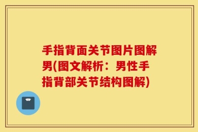 手指背面关节图片图解男(图文解析：男性手指背部关节结构图解)