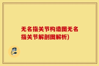 无名指关节构造图无名指关节解剖图解析)