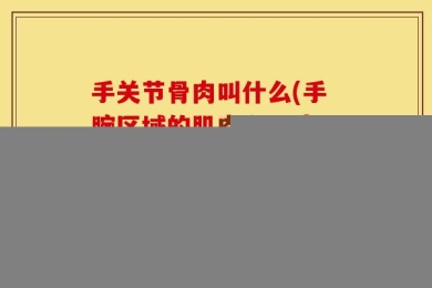 手关节骨肉叫什么(手腕区域的肌肉和骨头是如何称呼的？——手腕部肌骨名称)