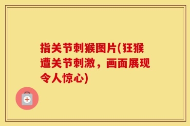 指关节刺猴图片(狂猴遭关节刺激，画面展现令人惊心)