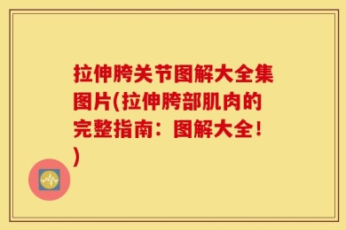 拉伸胯关节图解大全集图片(拉伸胯部肌肉的完整指南：图解大全！)