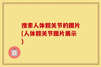 搜索人体髋关节的图片(人体髋关节图片展示)