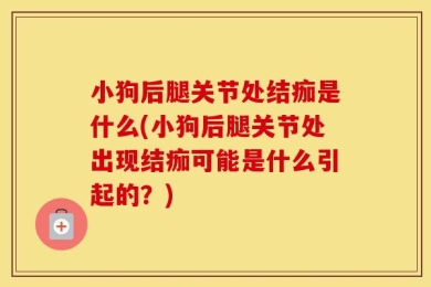 小狗后腿关节处结痂是什么(小狗后腿关节处出现结痂可能是什么引起的？)