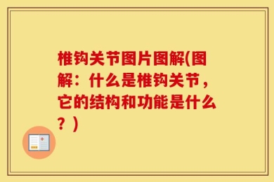 椎钩关节图片图解(图解：什么是椎钩关节，它的结构和功能是什么？)