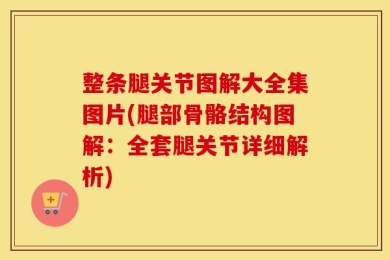 整条腿关节图解大全集图片(腿部骨骼结构图解：全套腿关节详细解析)