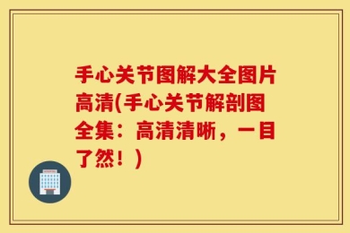 手心关节图解大全图片高清(手心关节解剖图全集：高清清晰，一目了然！)